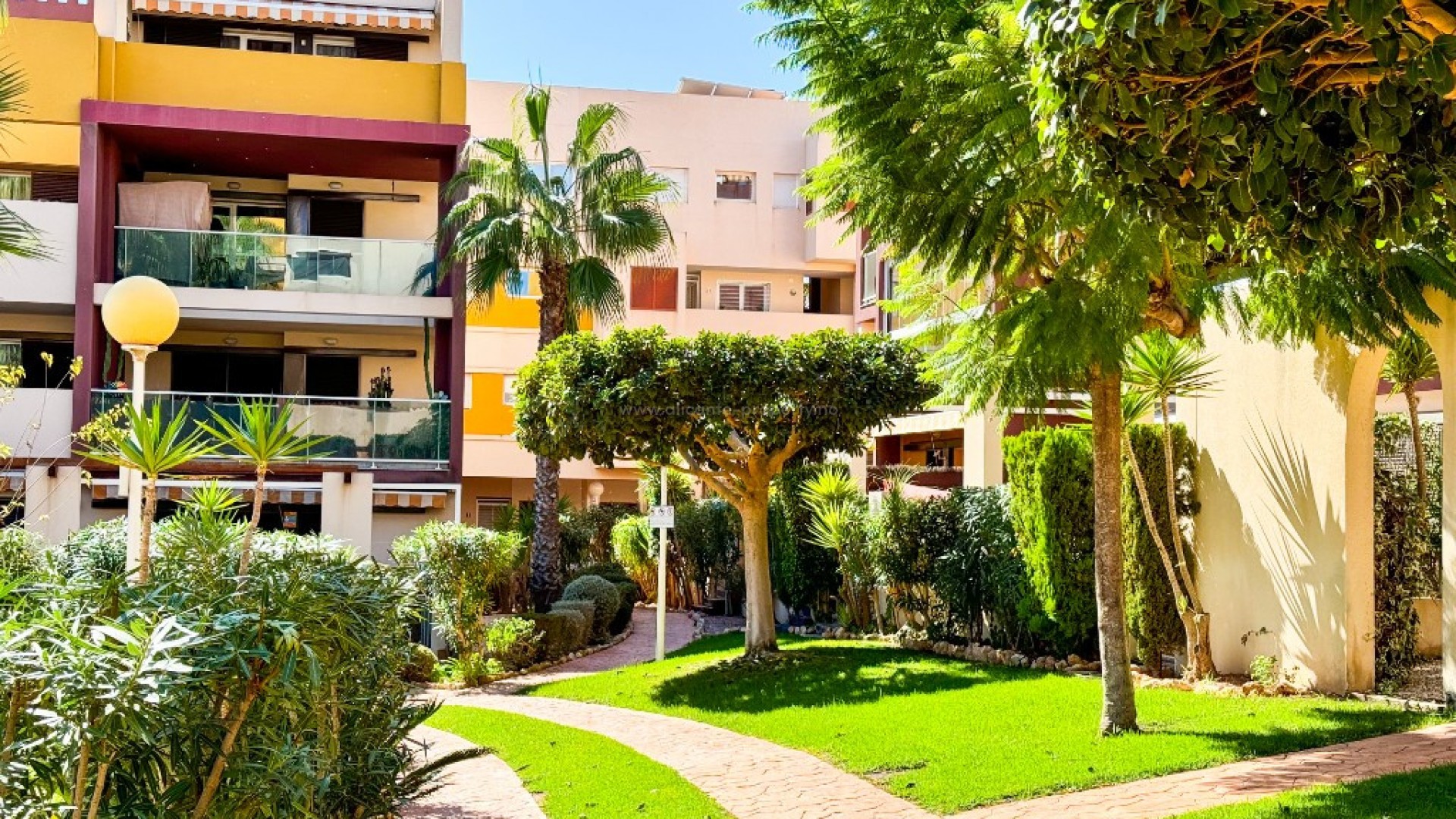 Apartment / flat in Playa Flamenca