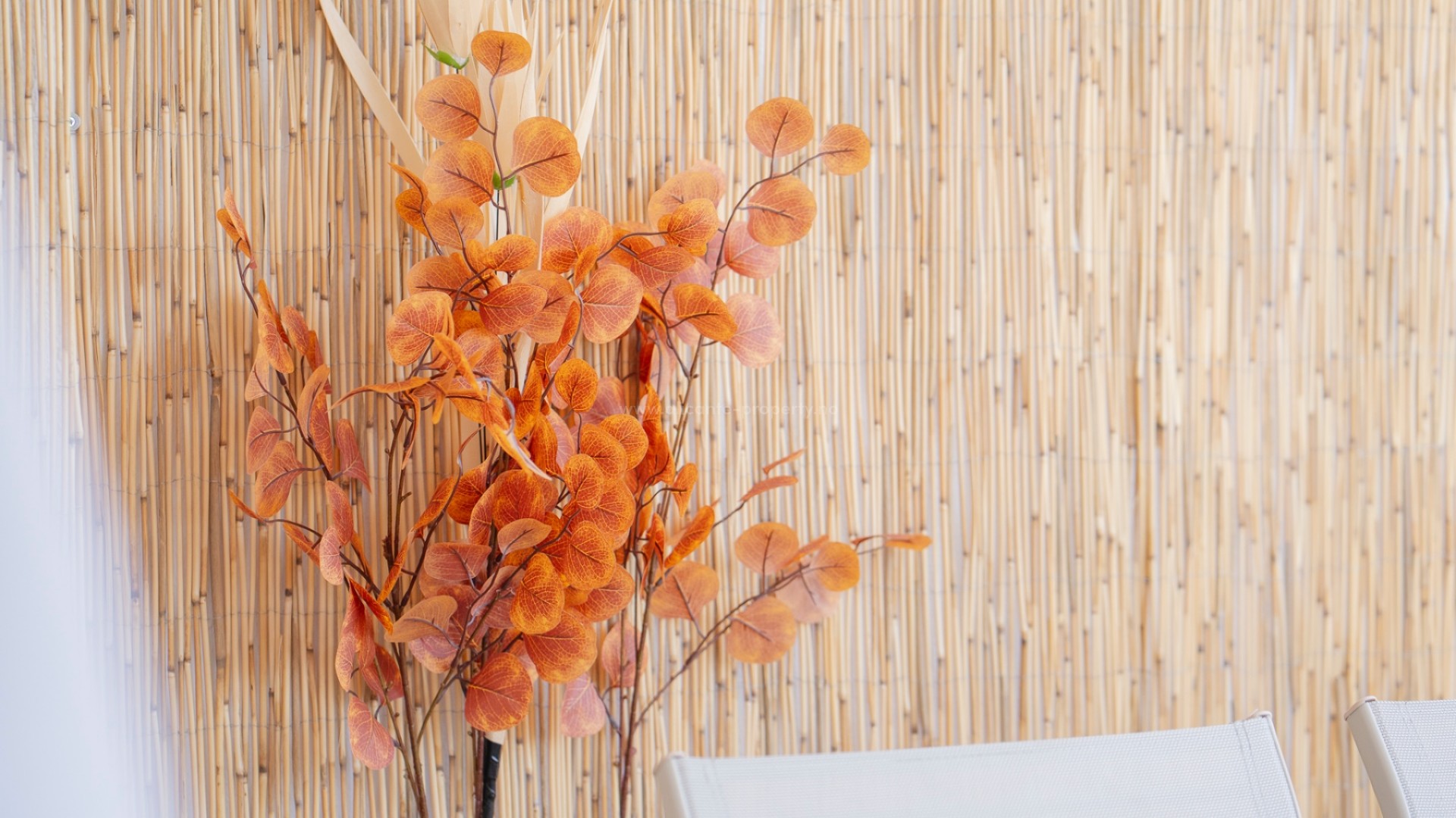 Apartment / flat in Punta Prima