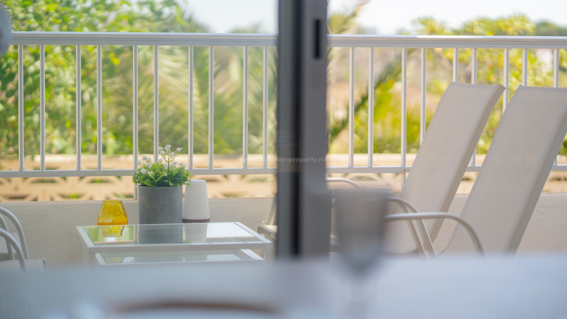 Apartment / flat in Punta Prima