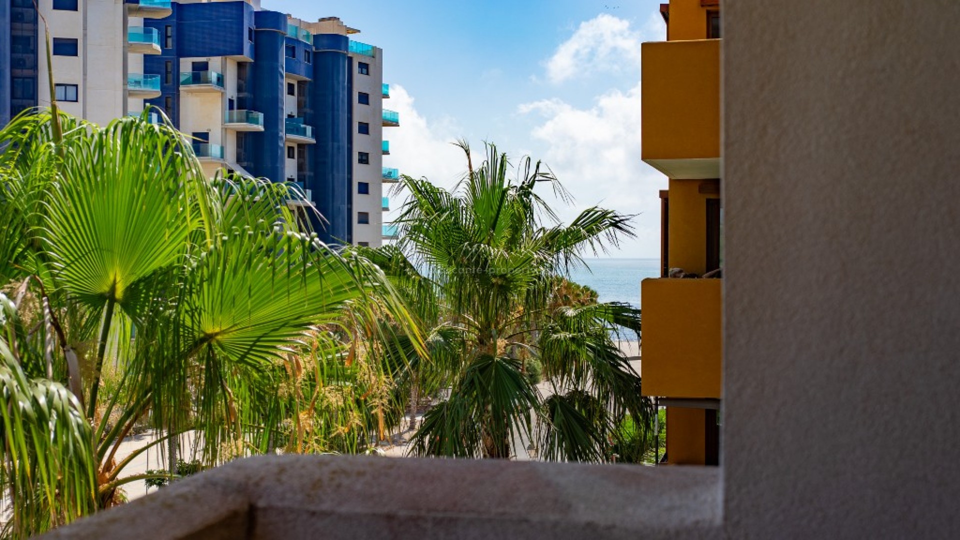 Apartment / flat in Punta Prima