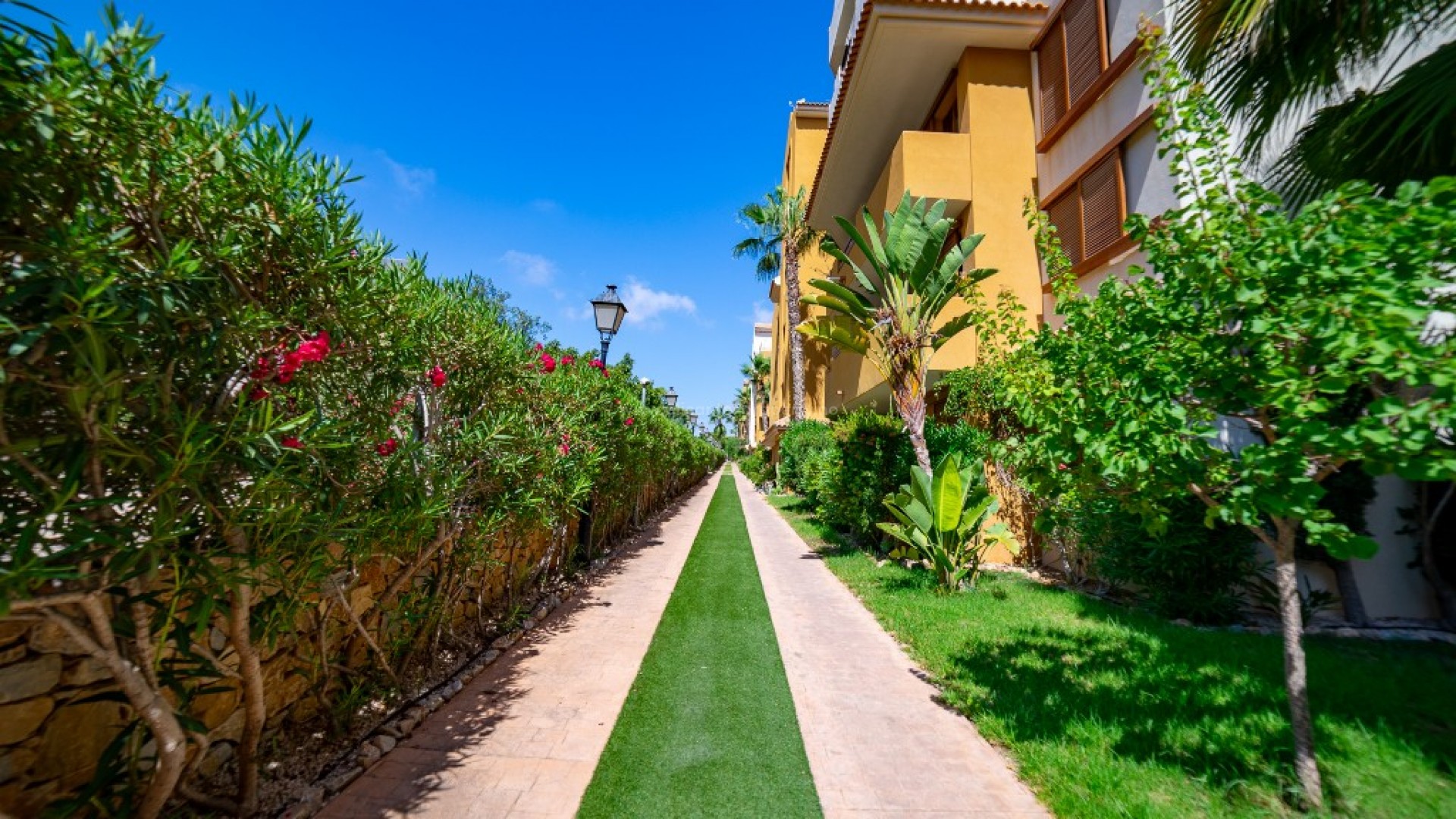 Apartment / flat in Punta Prima