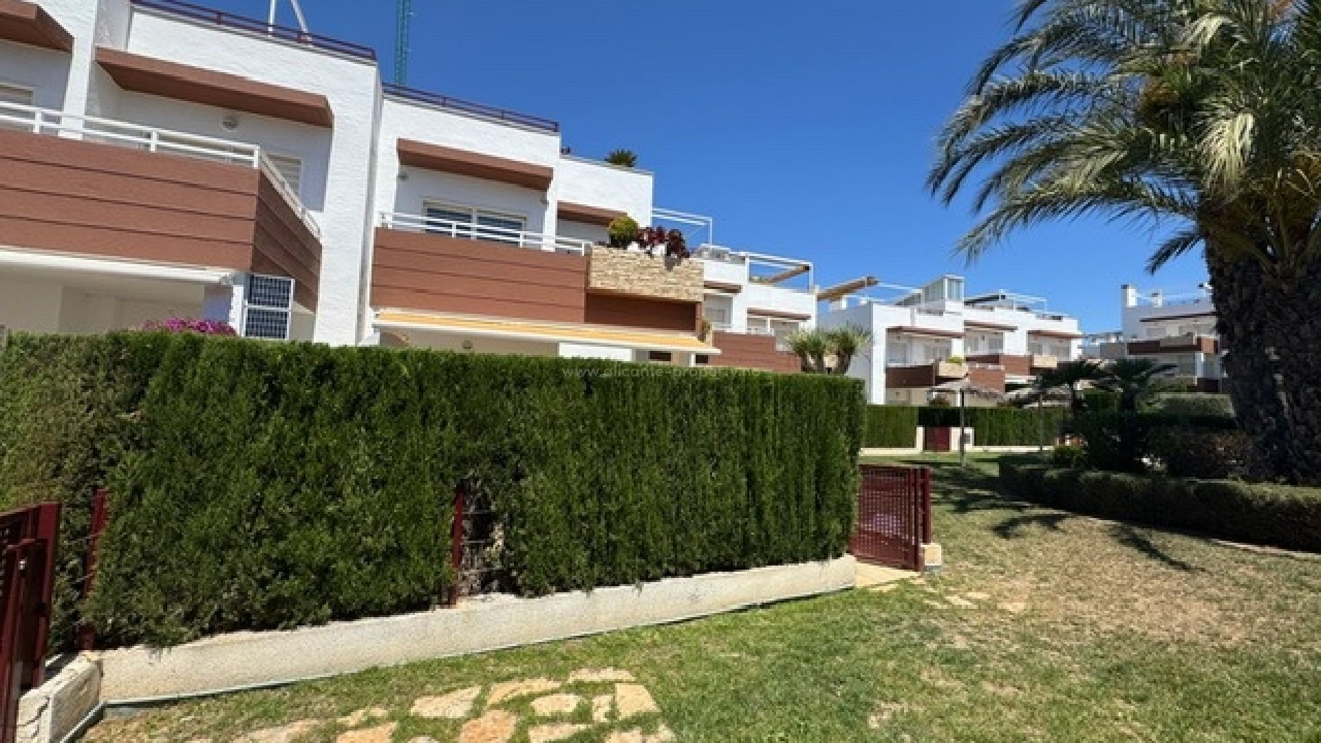 Apartment / flat in Punta Prima