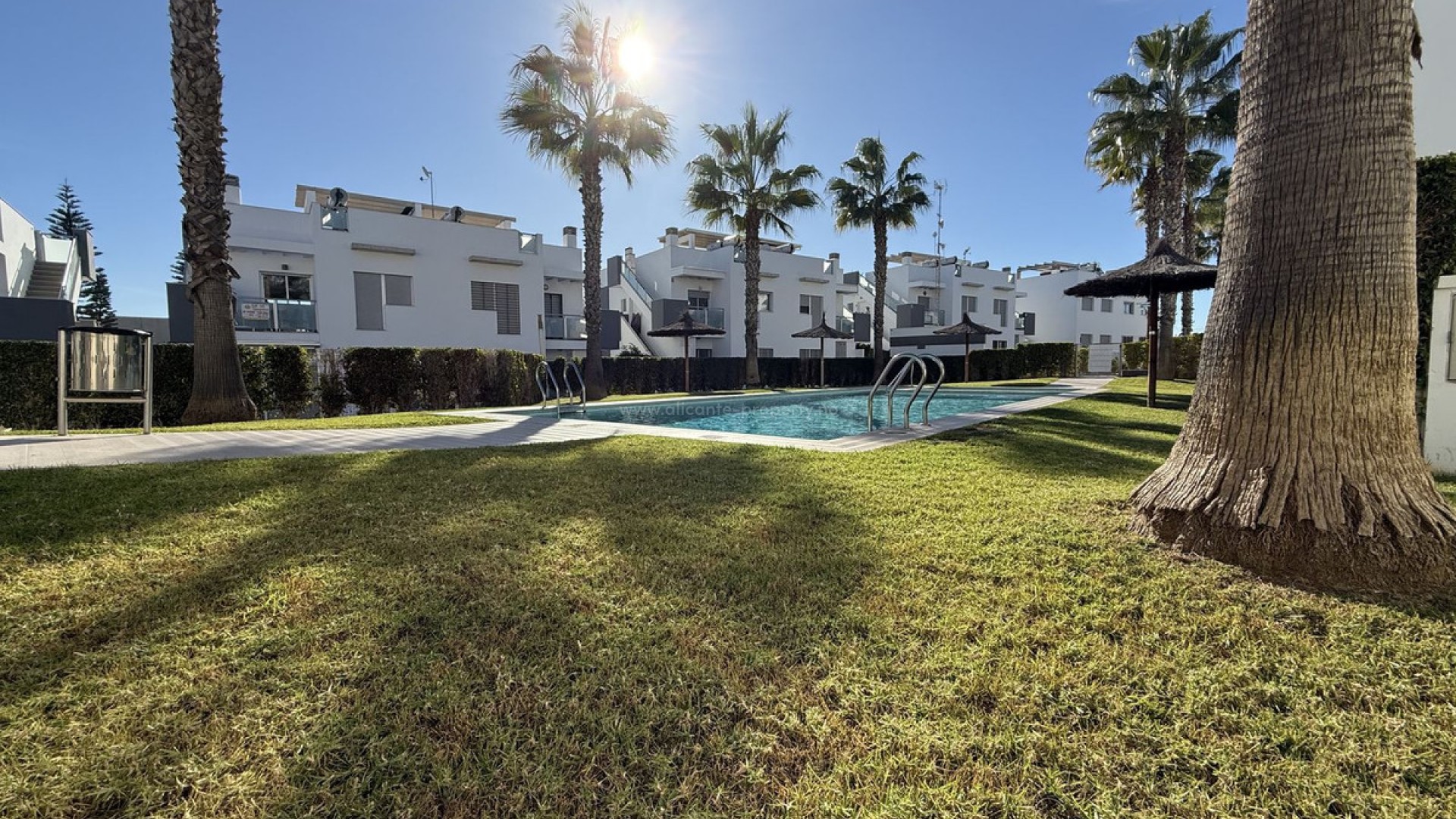 Apartment / flat in Punta Prima