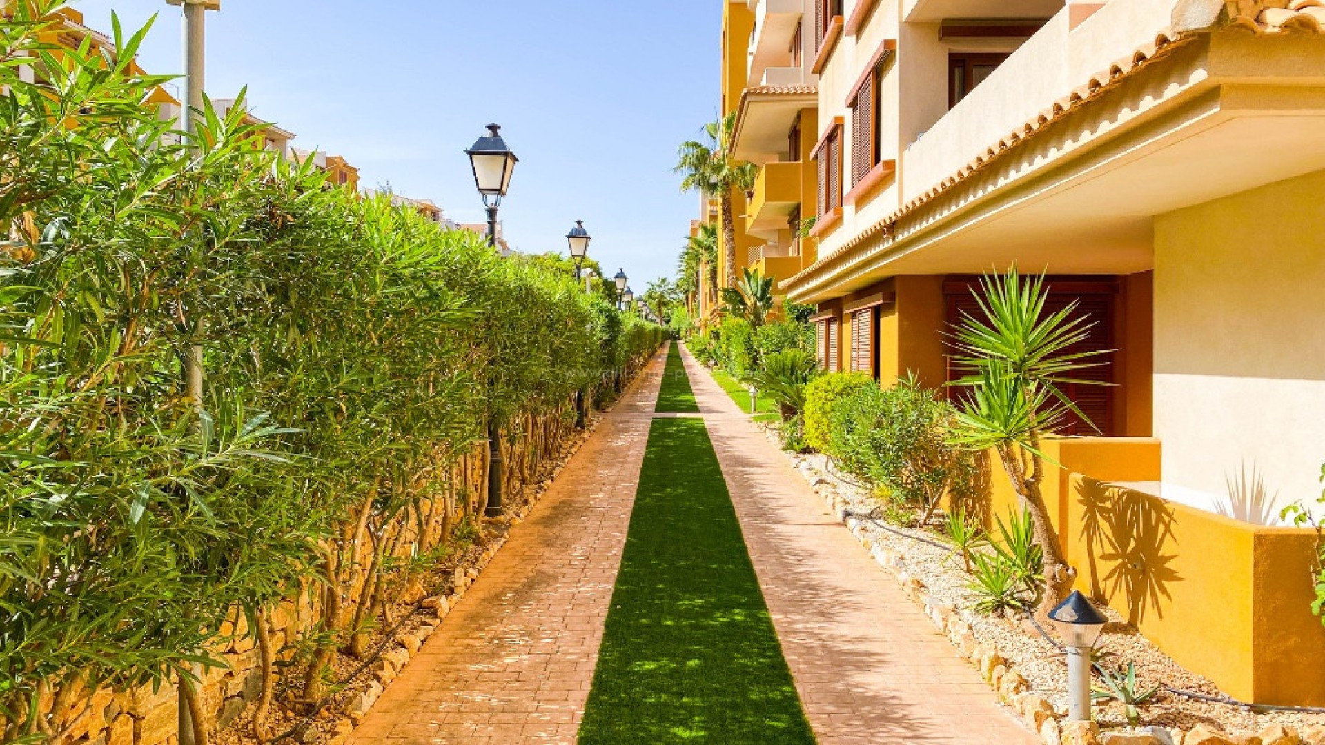 Apartment / flat in Punta Prima