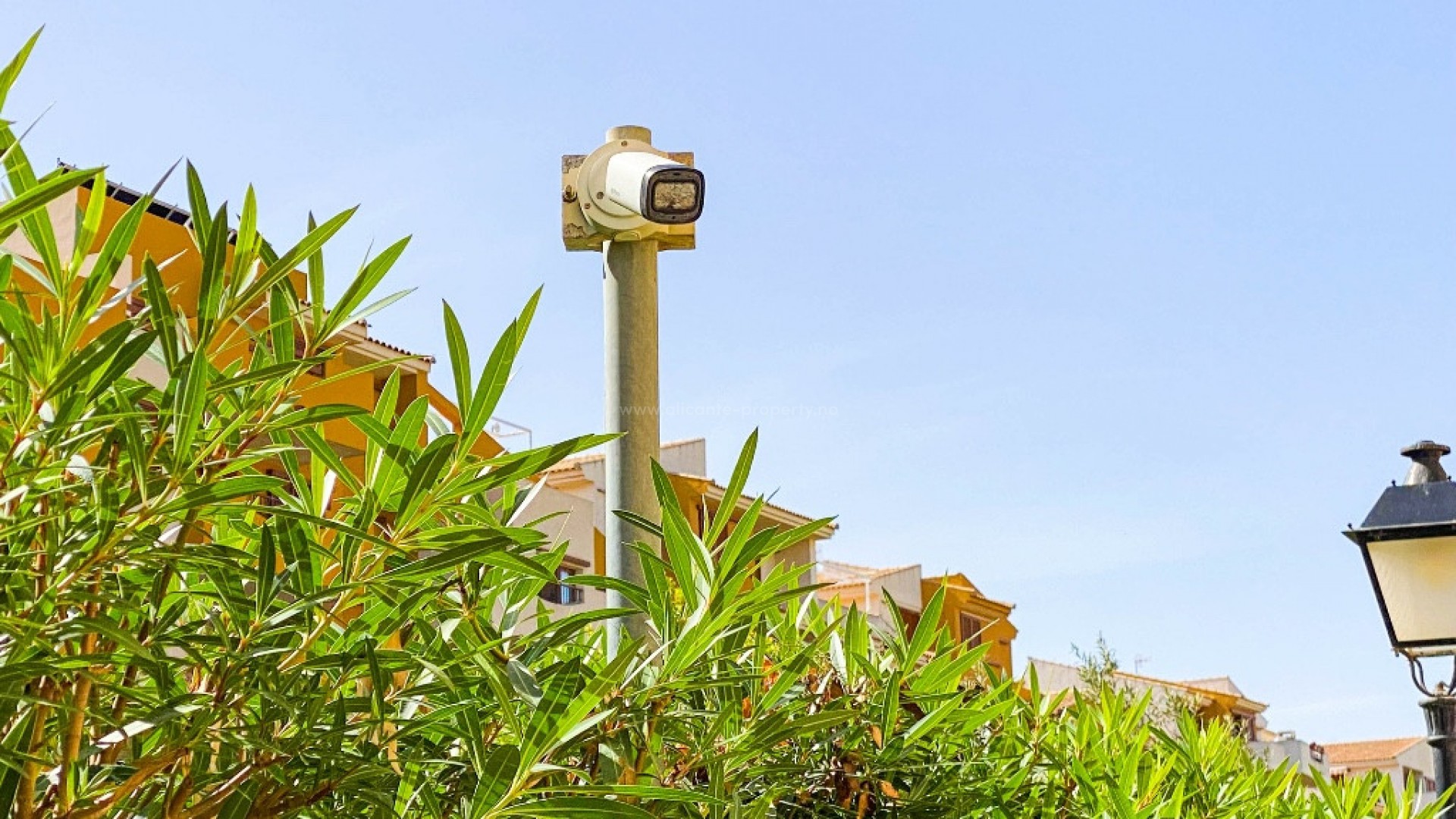 Apartment / flat in Punta Prima
