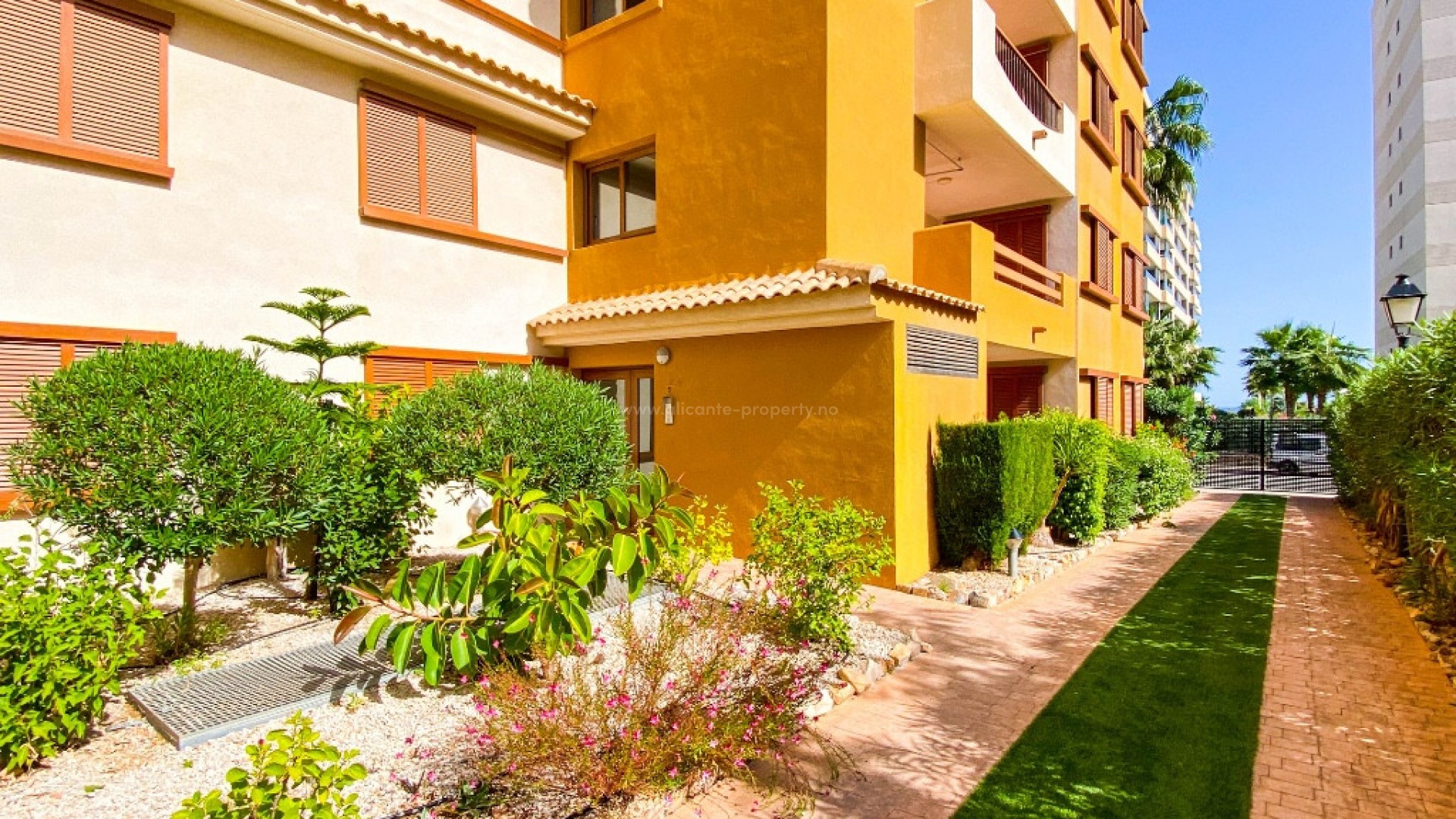 Apartment / flat in Punta Prima