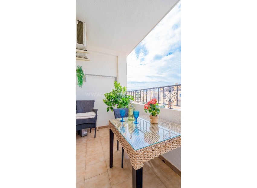 Apartment / flat in Punta Prima