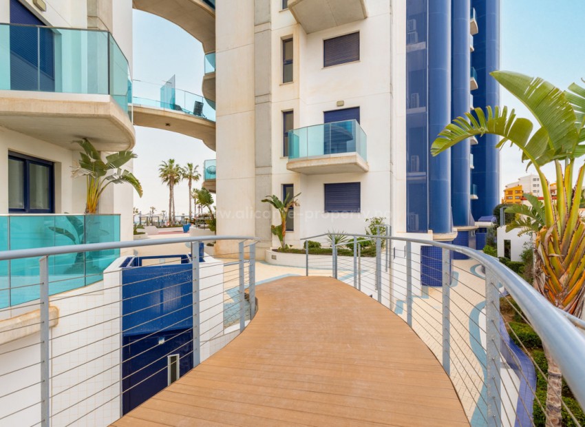 Apartment / flat in Punta Prima