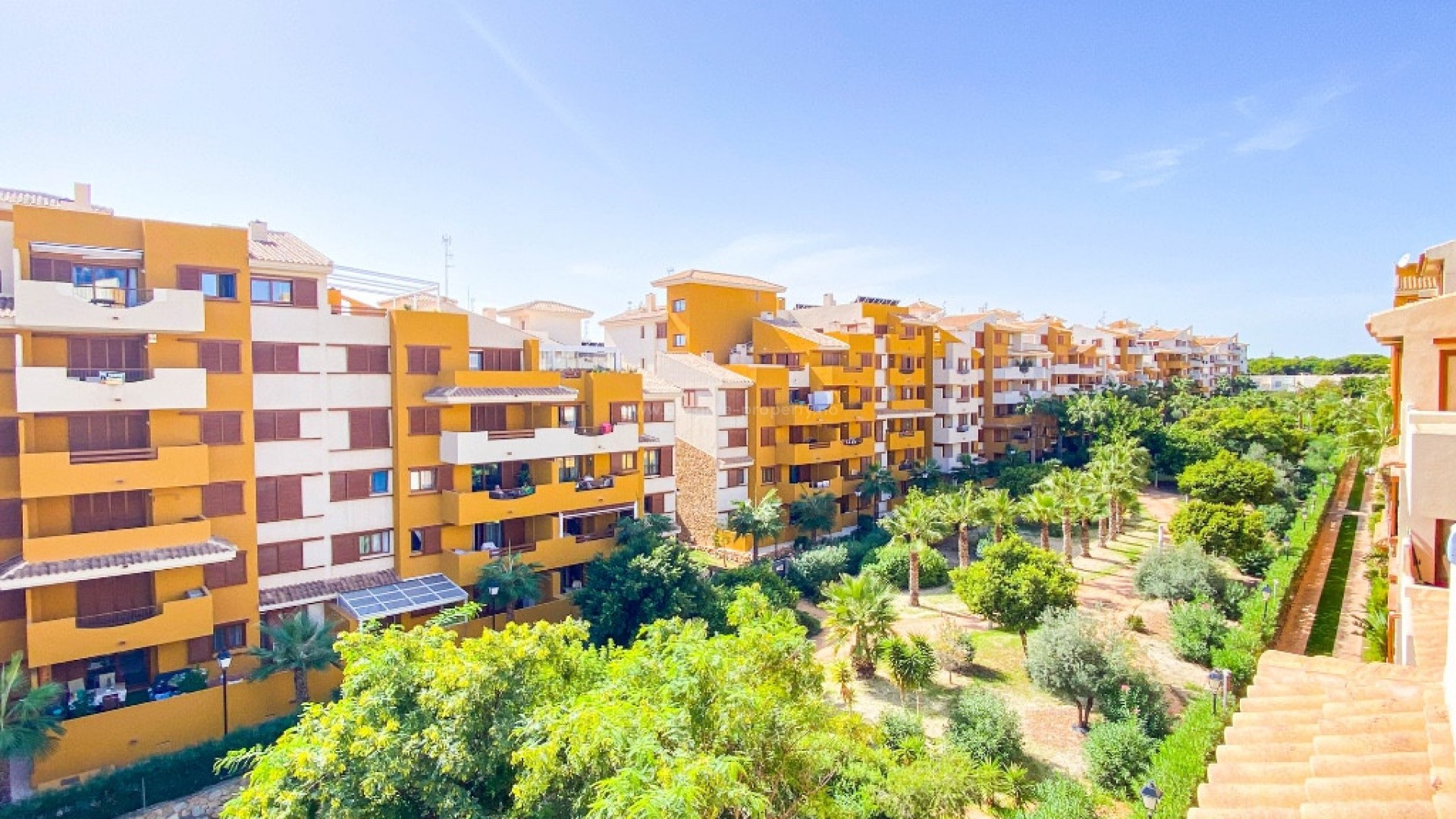 Apartment / flat in Punta Prima