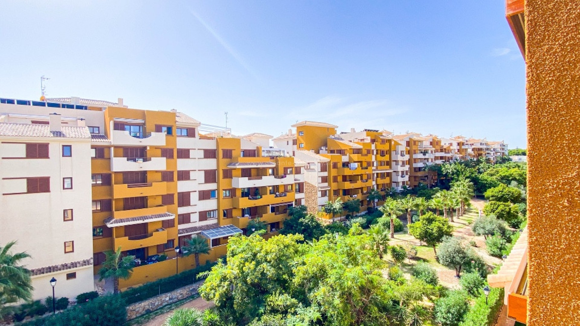 Apartment / flat in Punta Prima