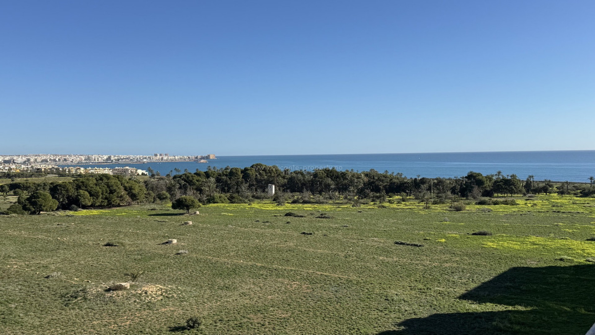 Apartment / flat in Punta Prima