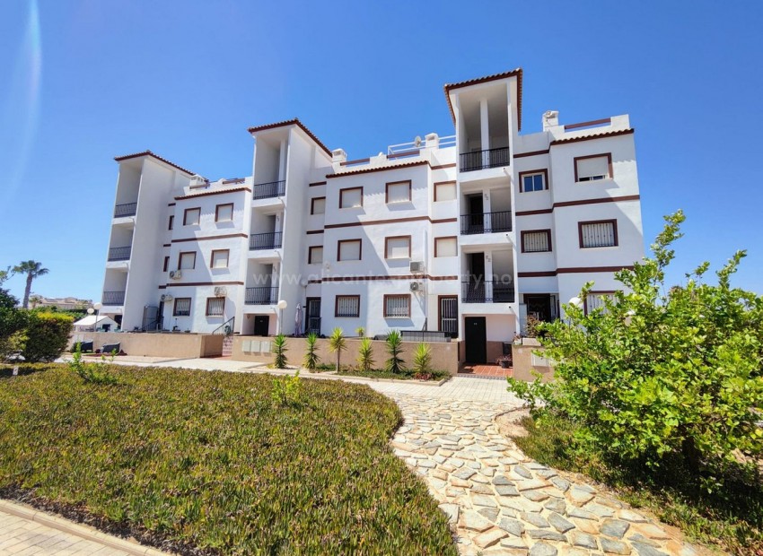 Apartment / flat in Punta Prima
