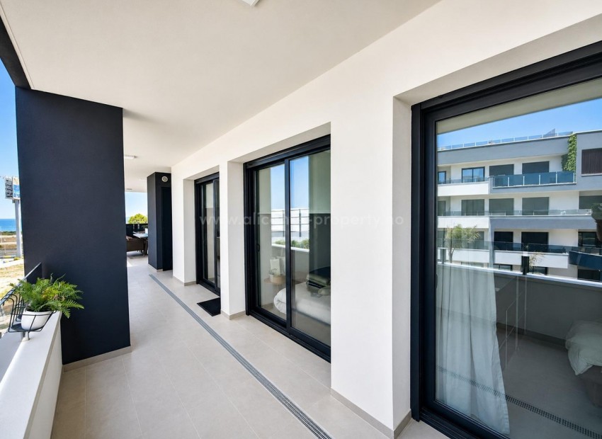 Apartment / flat in Punta Prima