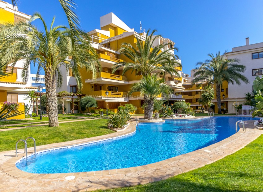 Apartment / flat in Punta Prima
