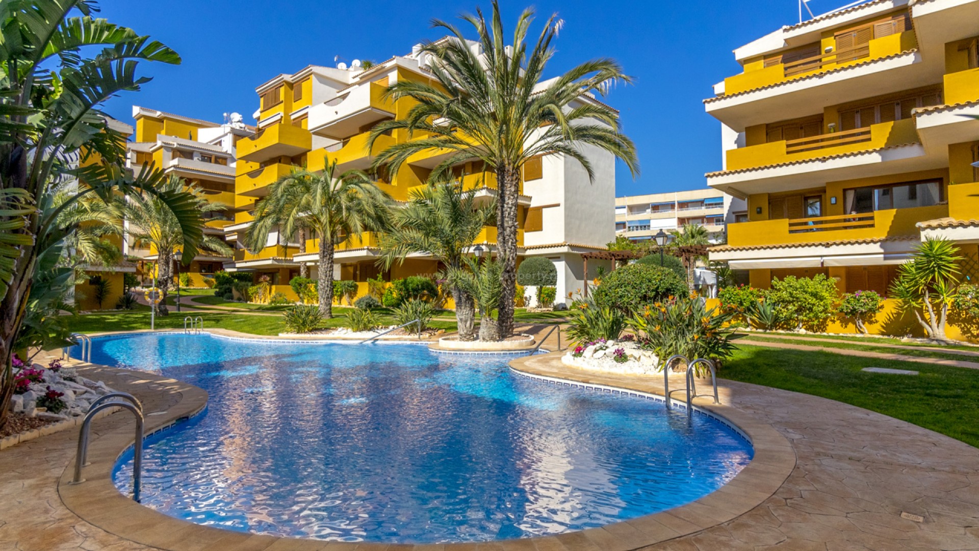 Apartment / flat in Punta Prima