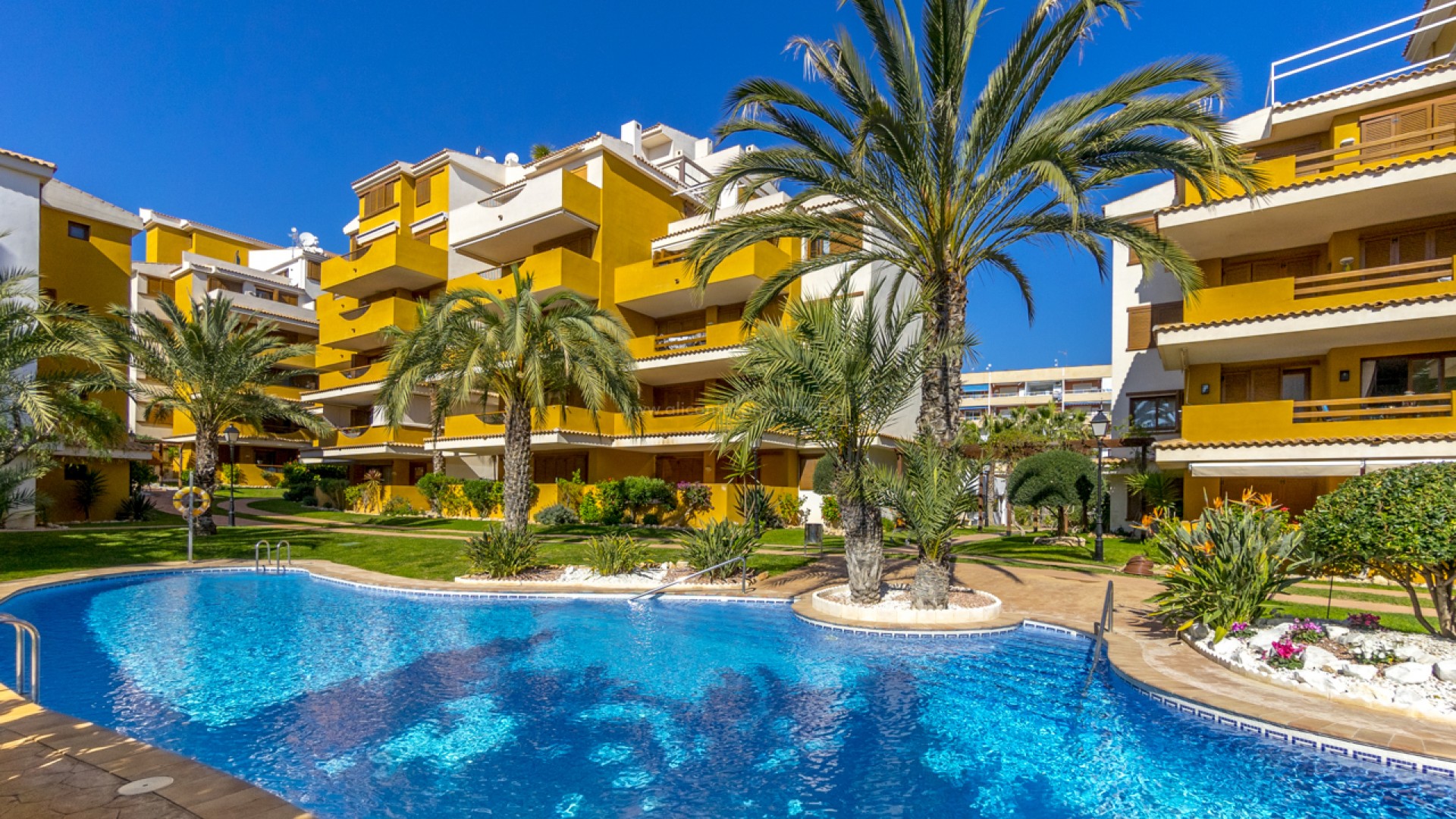 Apartment / flat in Punta Prima