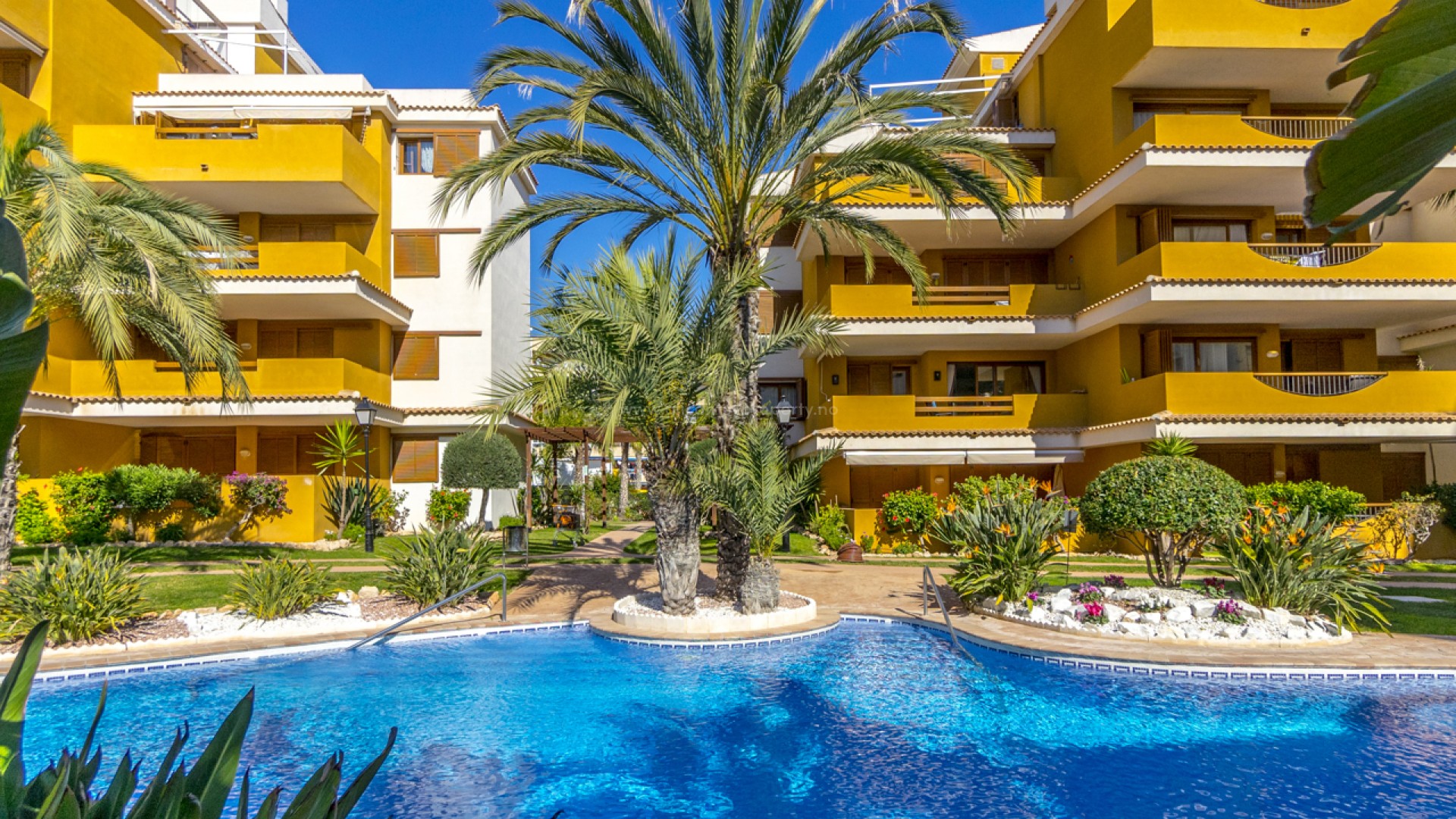 Apartment / flat in Punta Prima