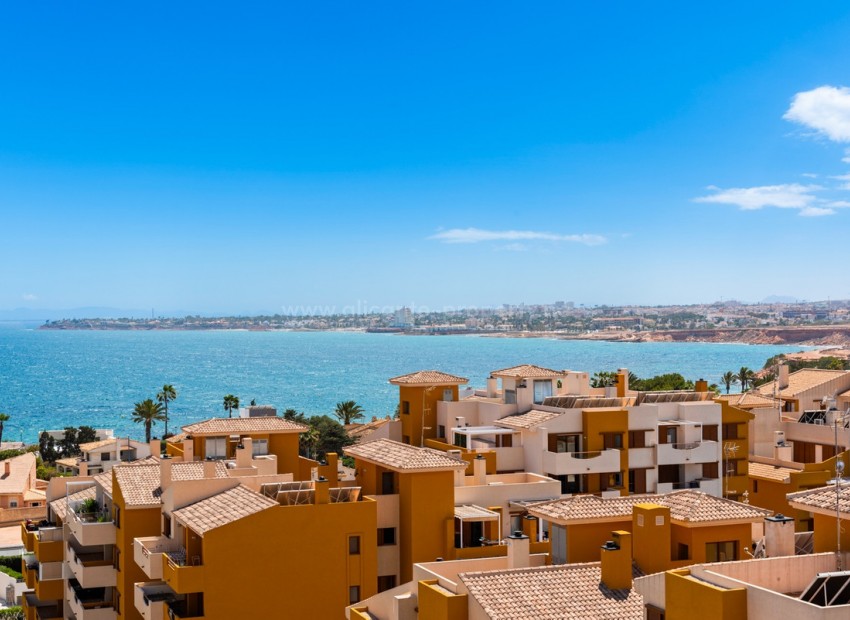 Apartment / flat in Punta Prima