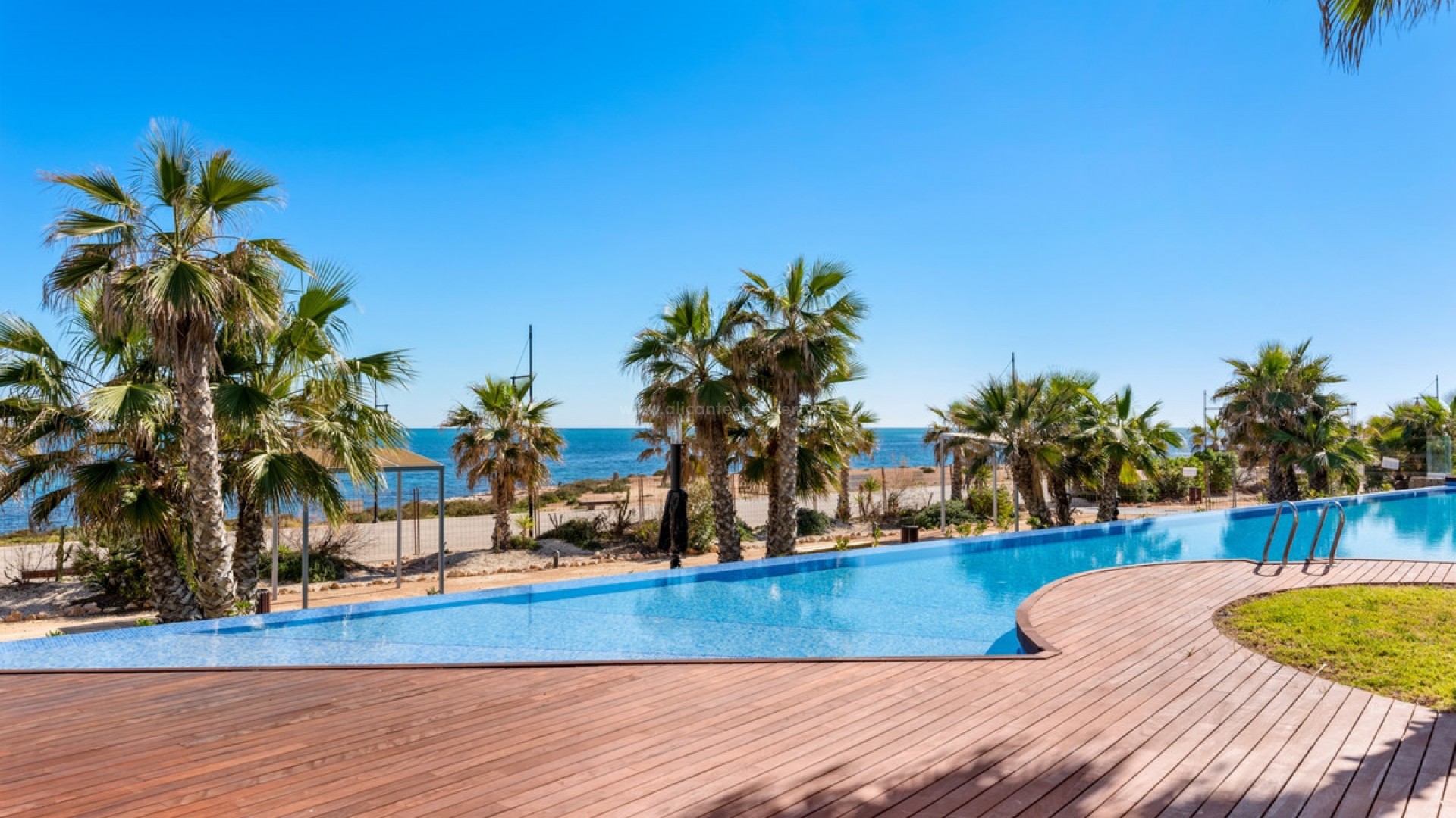 Apartment / flat in Punta Prima