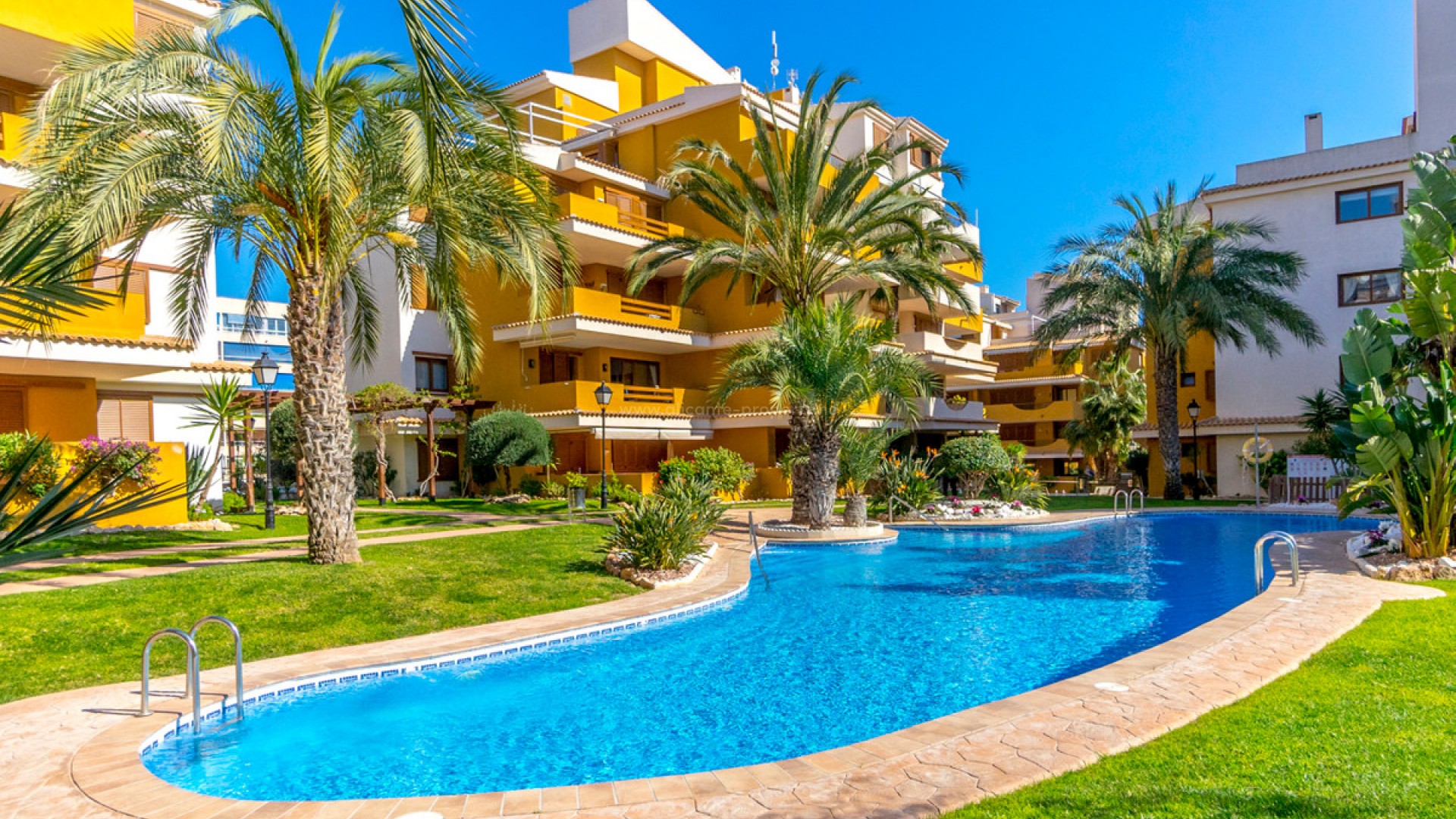 Apartment / flat in Punta Prima