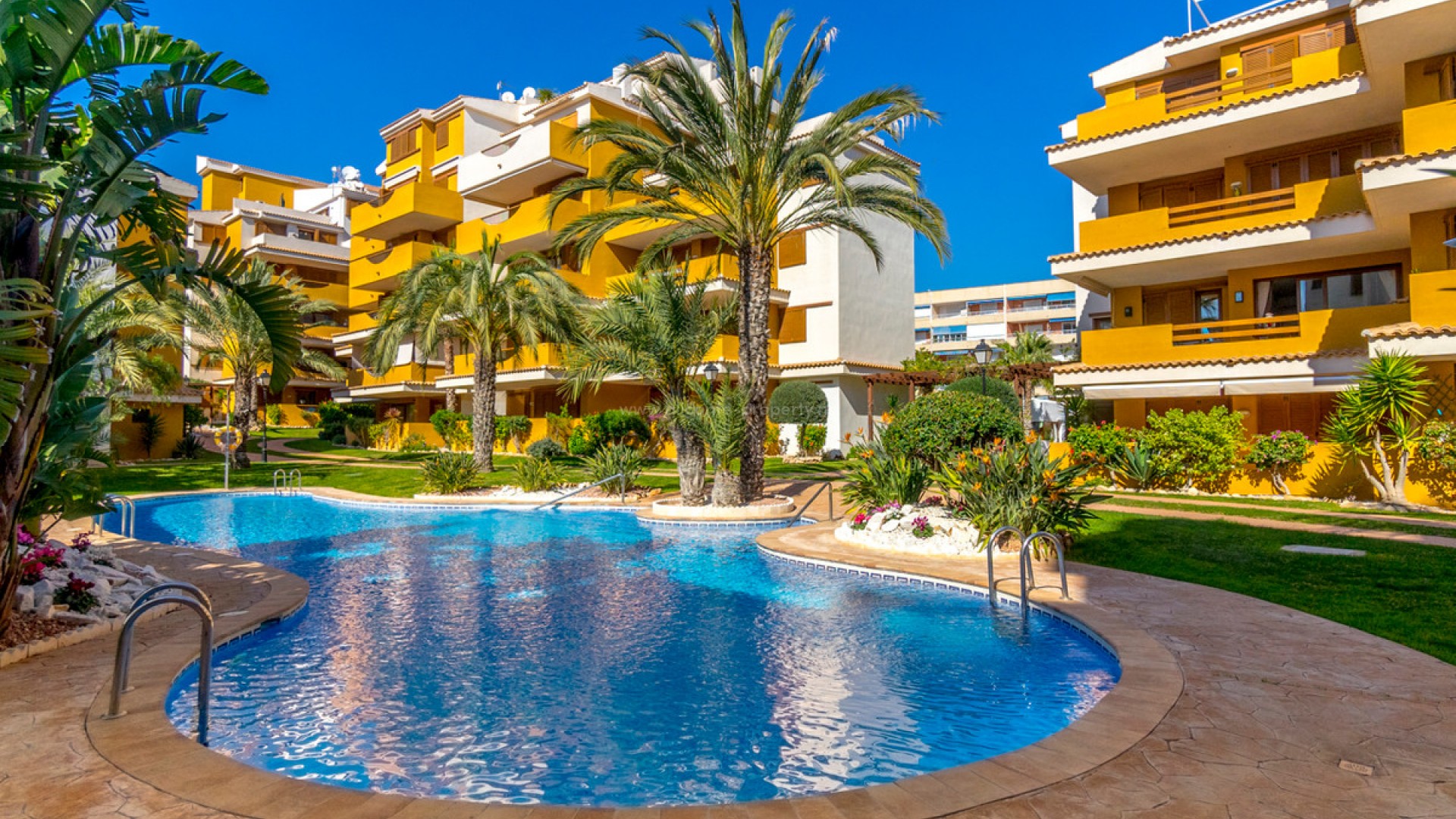 Apartment / flat in Punta Prima