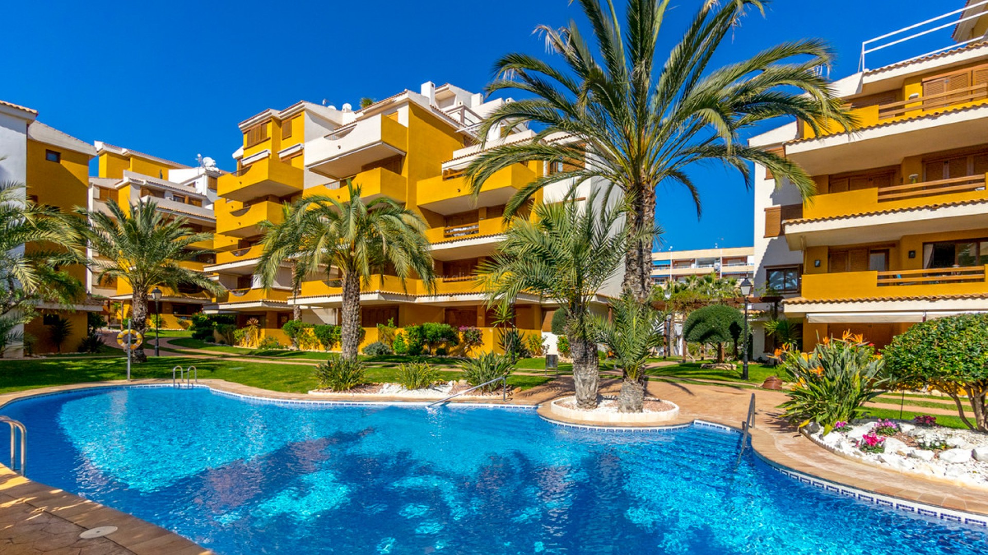 Apartment / flat in Punta Prima