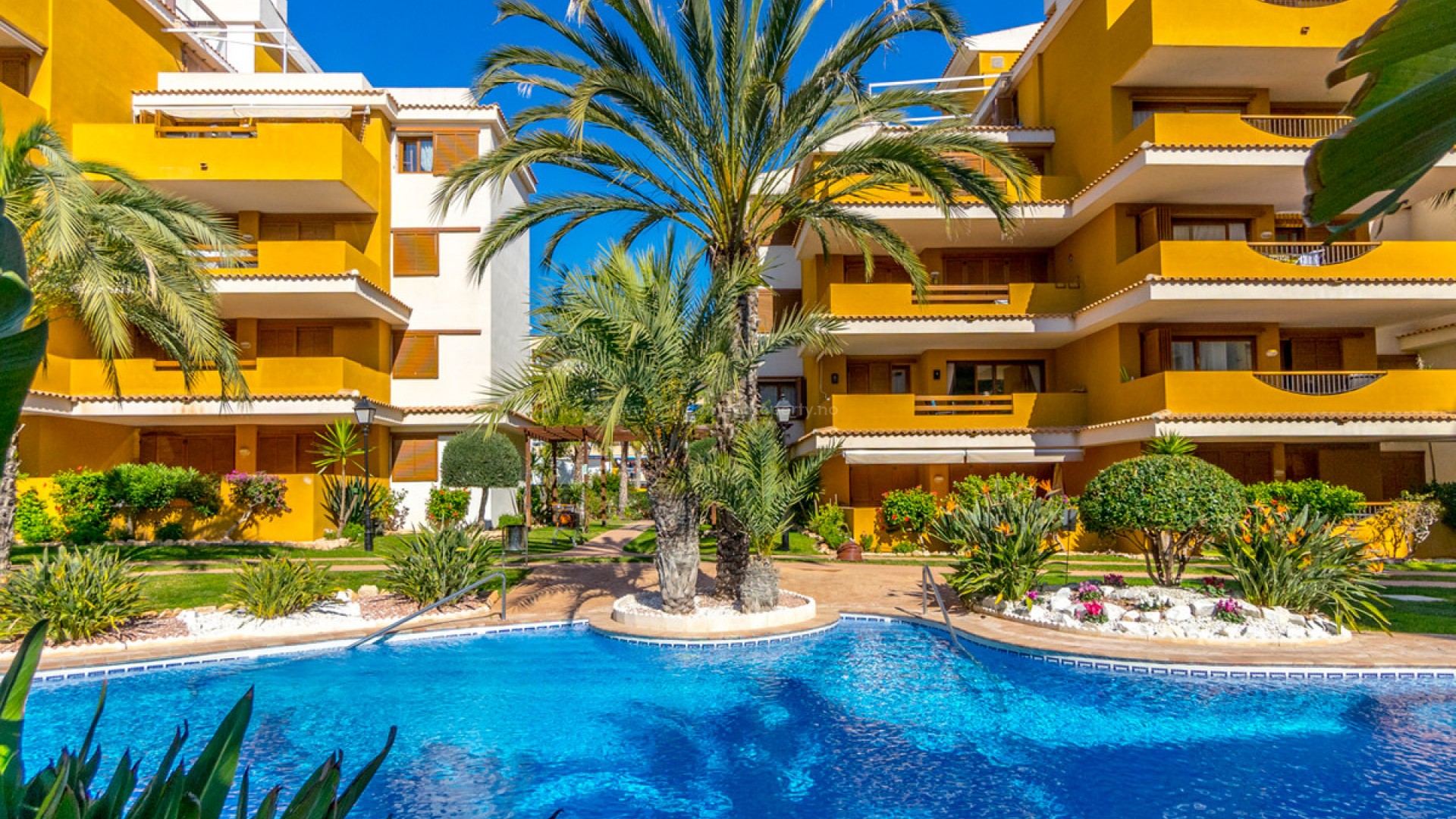 Apartment / flat in Punta Prima