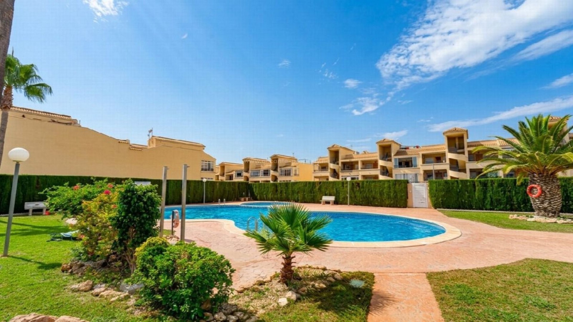 Apartment / flat in Punta Prima
