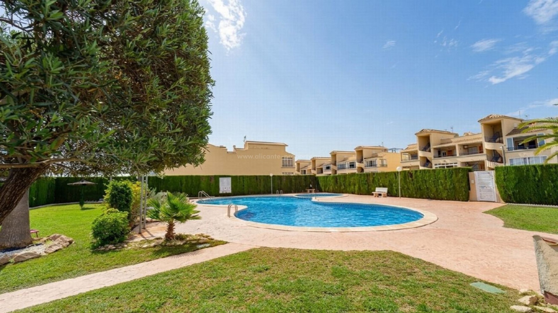 Apartment / flat in Punta Prima
