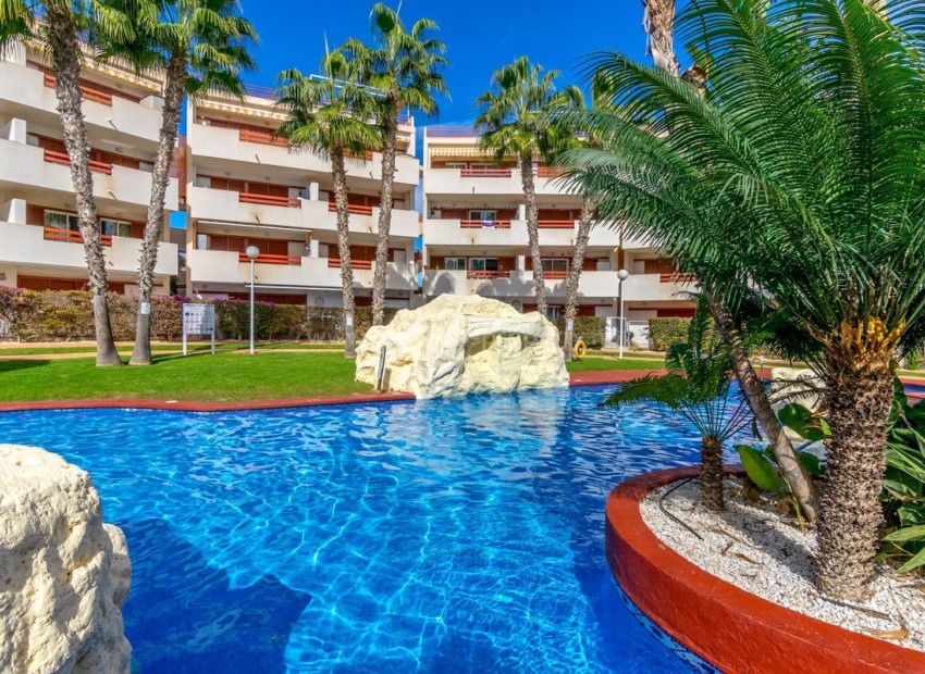 Apartment / flat in Punta Prima