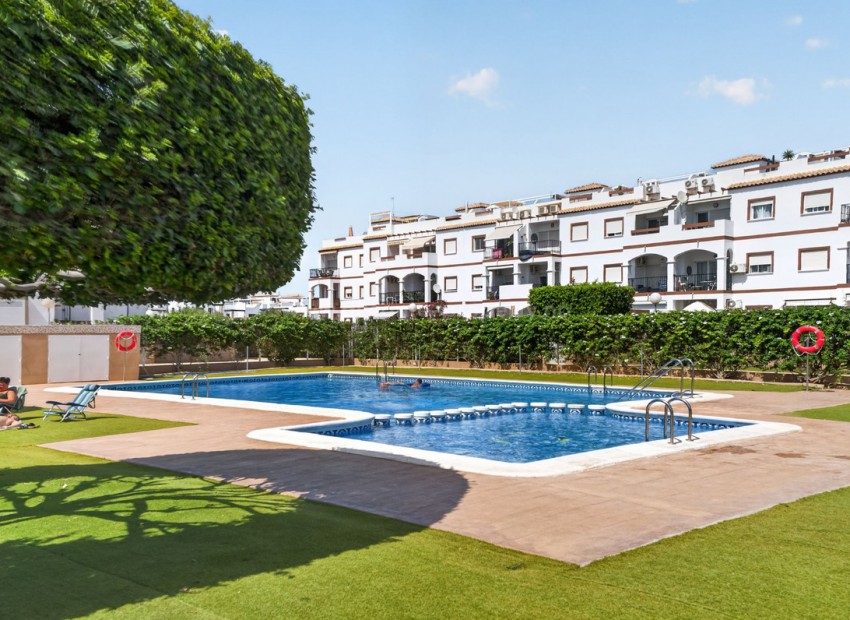 Apartment / flat in Punta Prima