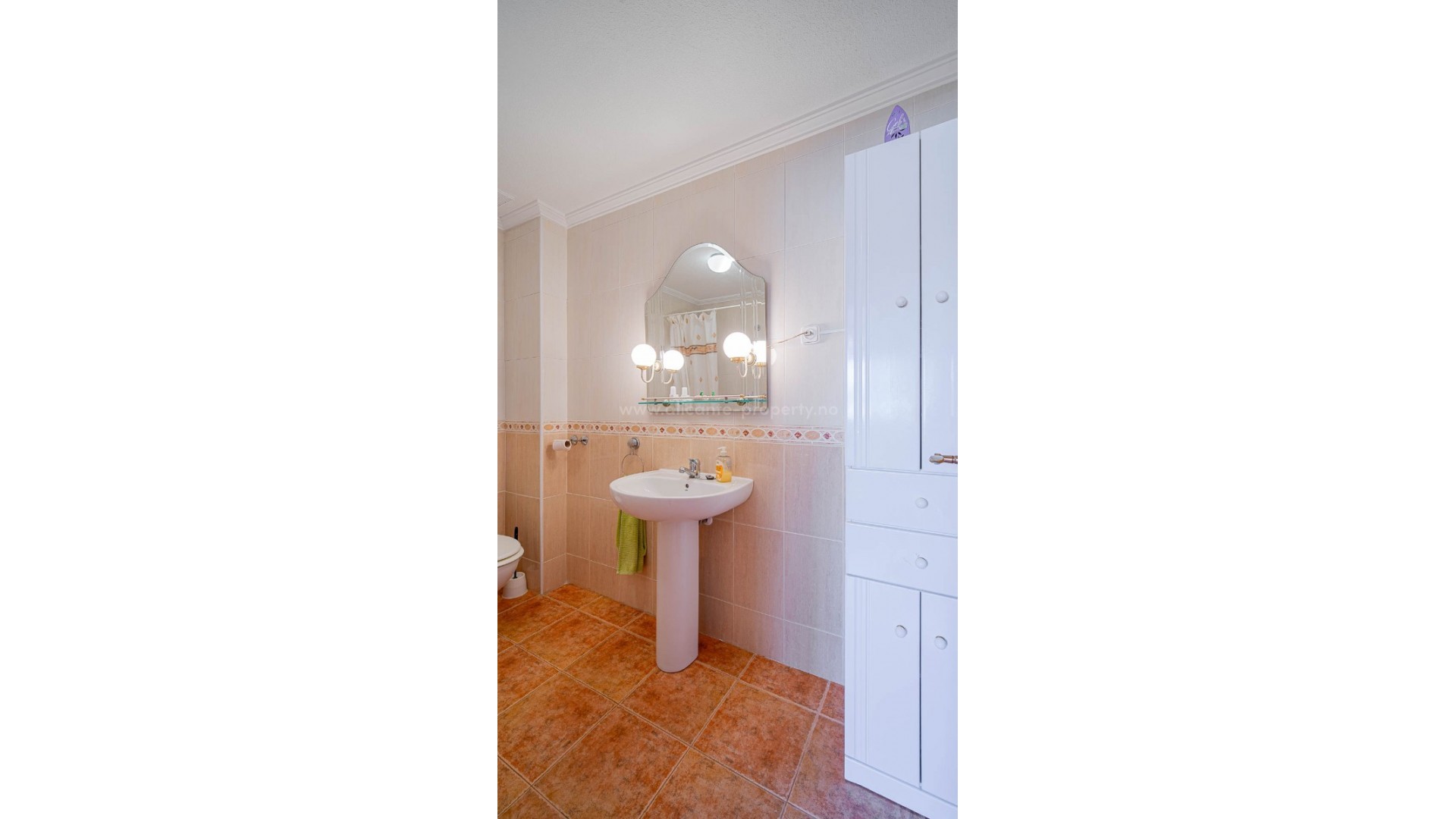 Apartment / flat in Punta Prima
