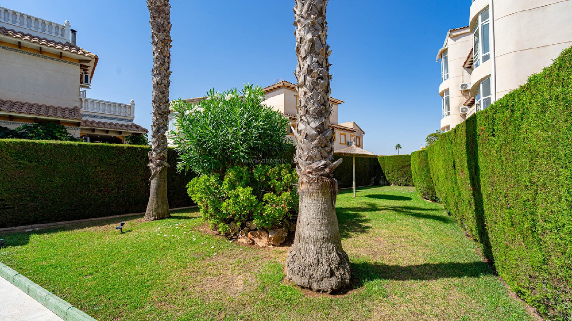 Apartment / flat in Punta Prima