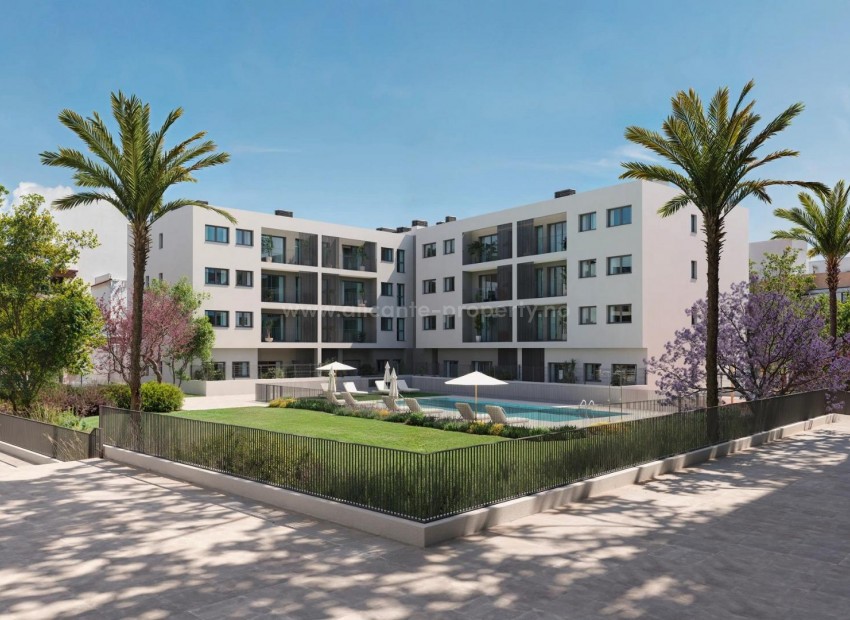 Apartment / flat in San Agustín