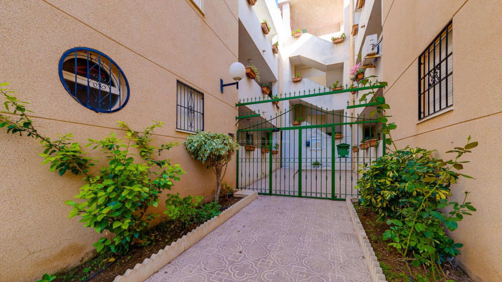 Apartment / flat in San Luis