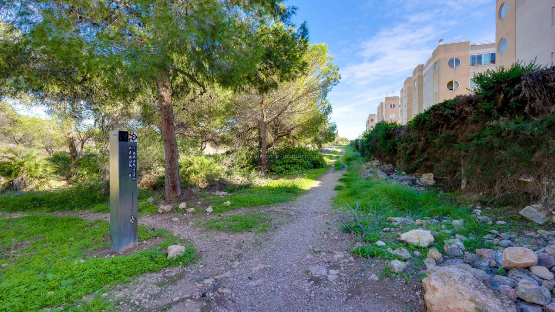 Apartment / flat in San Luis