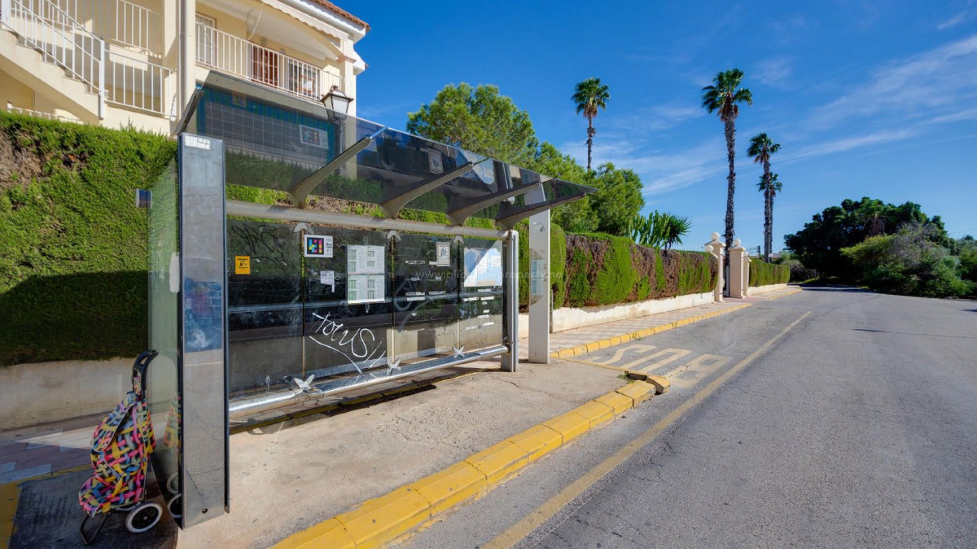 Apartment / flat in San Luis