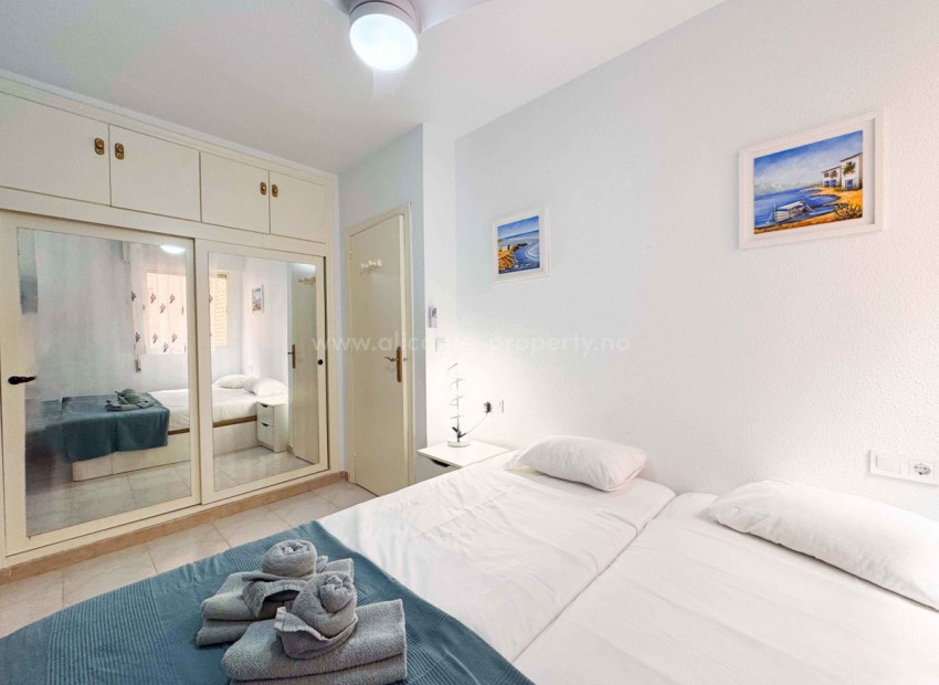 Apartment / flat in San Miguel de Salinas Centro