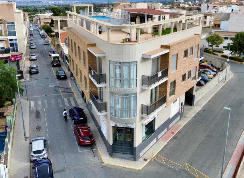 Apartment / flat in San Miguel de Salinas Centro