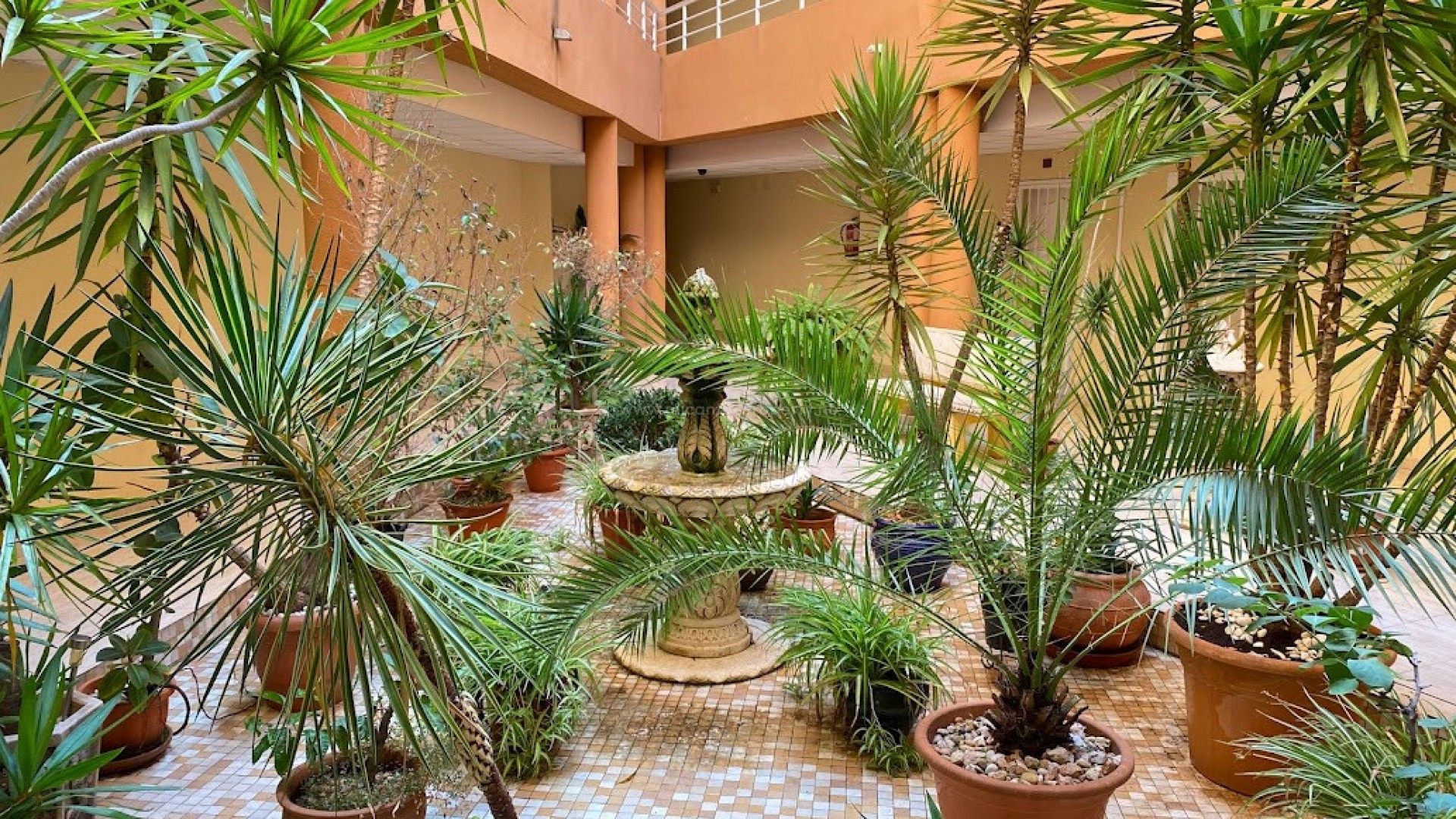 Apartment / flat in San Miguel de Salinas Centro