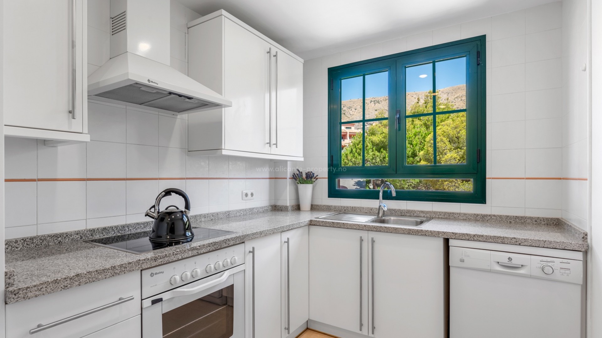 Apartment / flat in Sierra cortina