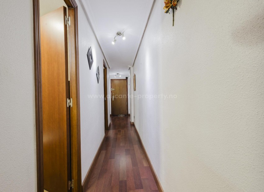 Apartment / flat in Torrevieja Centro