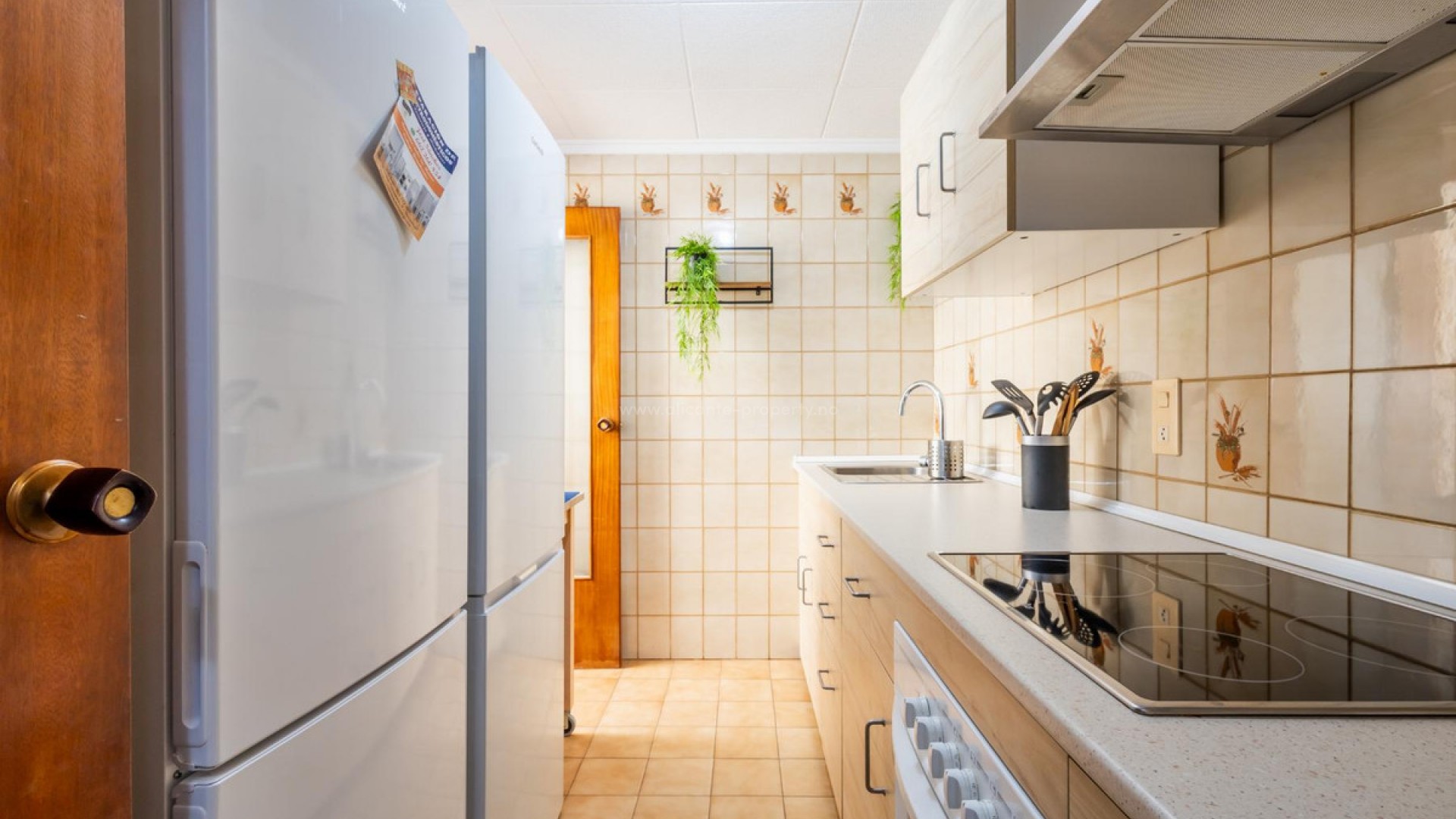 Apartment / flat in Torrevieja Centro