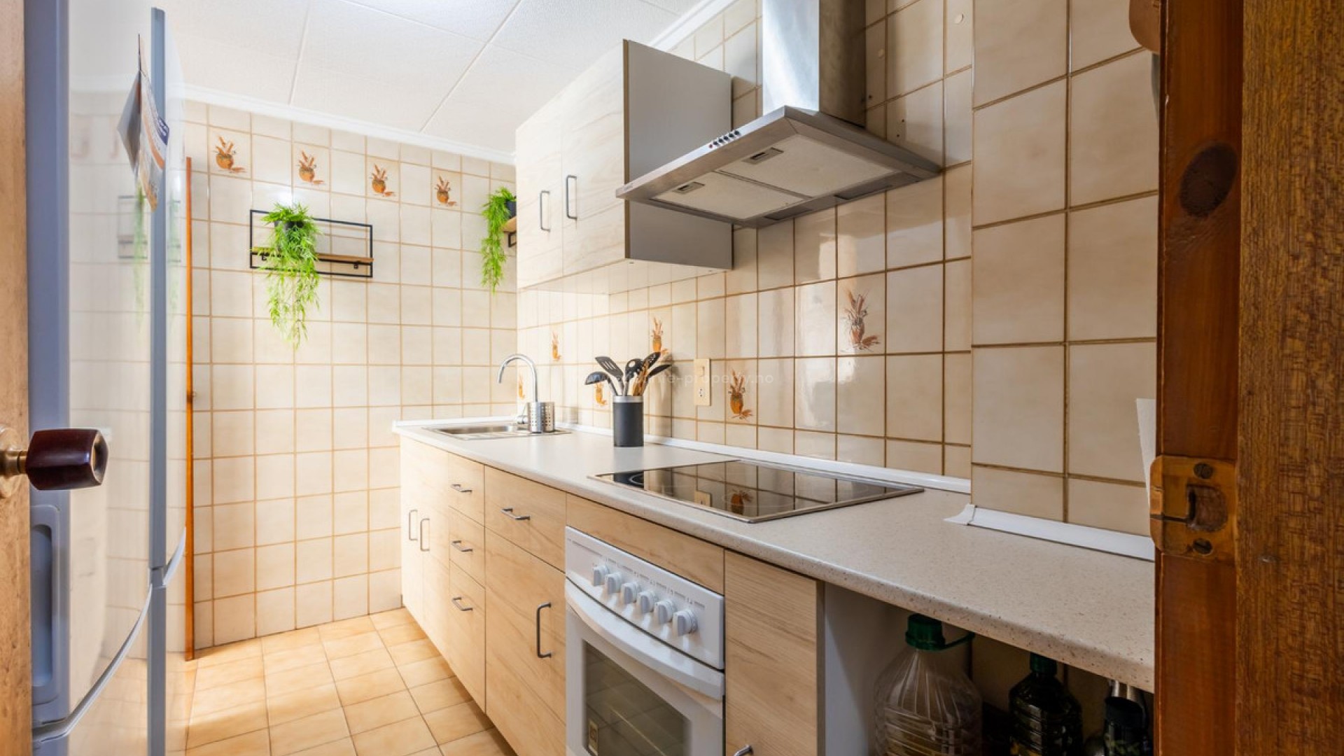 Apartment / flat in Torrevieja Centro