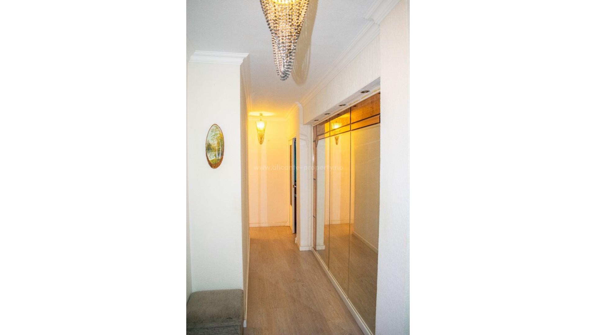 Apartment / flat in Torrevieja Centro