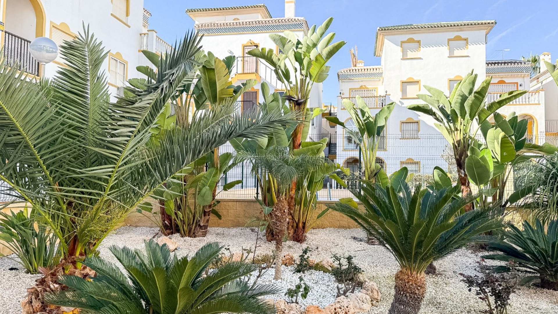 Apartment / flat in Torrevieja Centro