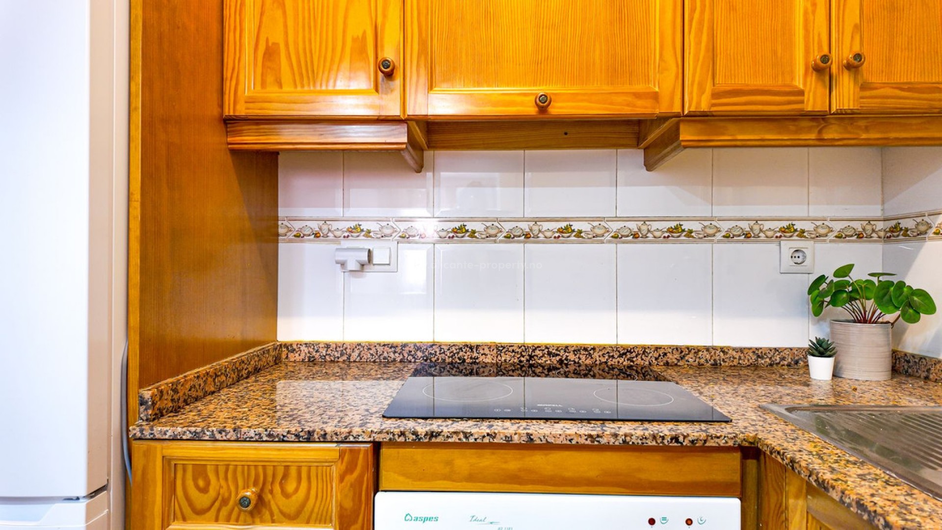 Apartment / flat in Torrevieja Centro