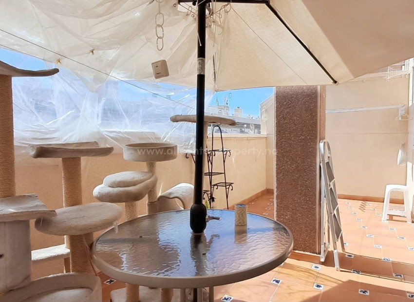 Apartment / flat in Torrevieja Centro