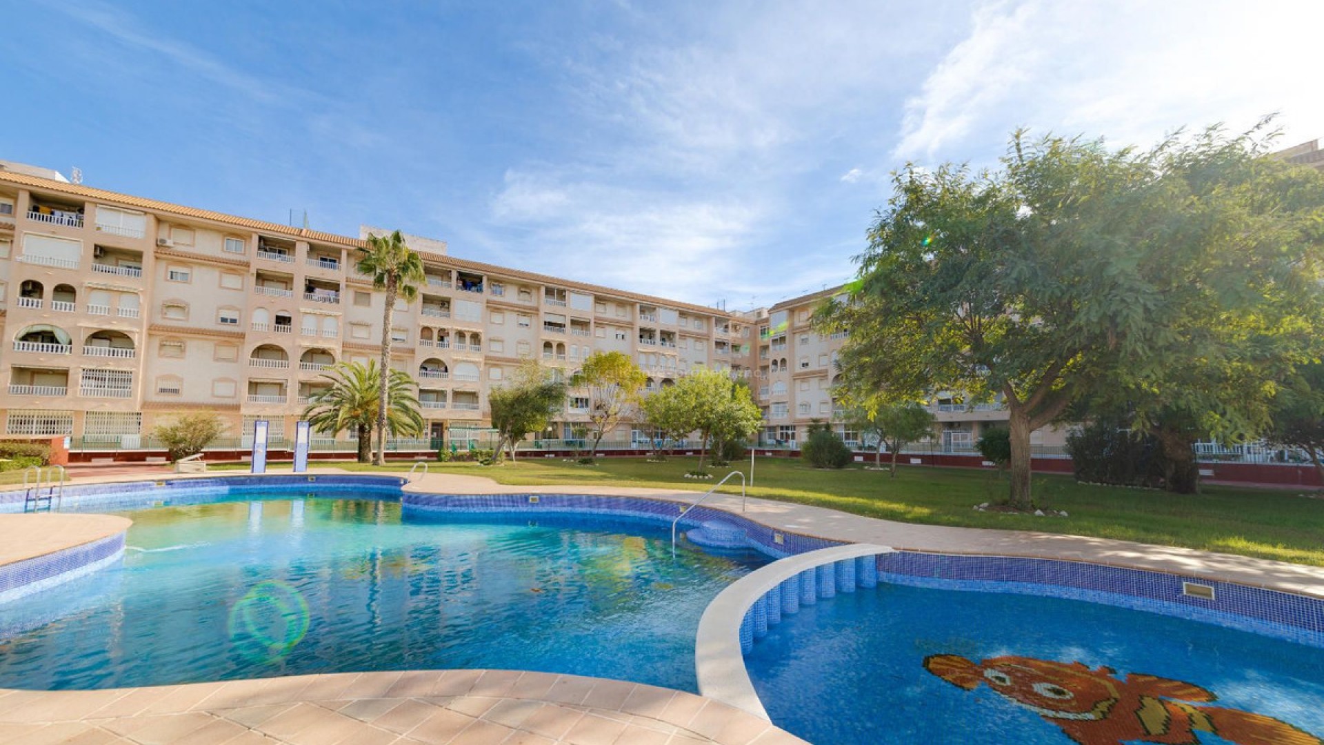 Apartment / flat in Torrevieja Centro