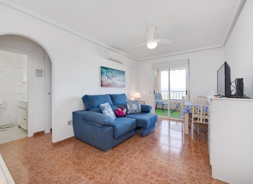 Apartment / flat in Torrevieja Centro